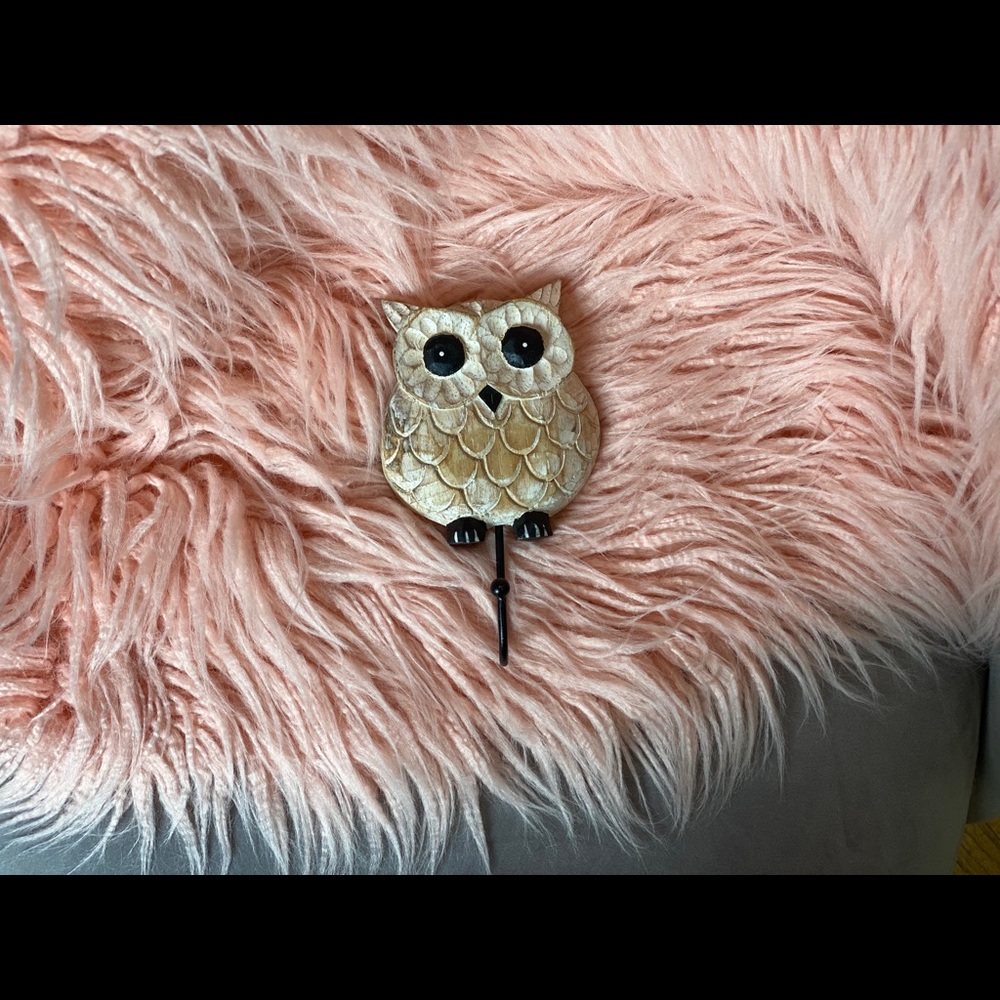 Owl Wall Hook